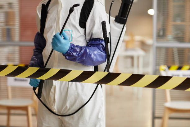 Professional Sewage Cleanup technician working in Bloomfield, NY